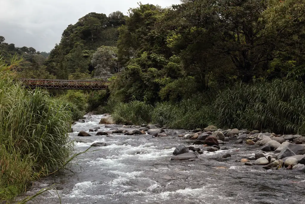 A photo of a river in the Bajo Mono district in Boquete, Panama