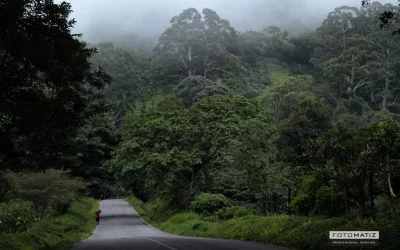 Amazing Panama