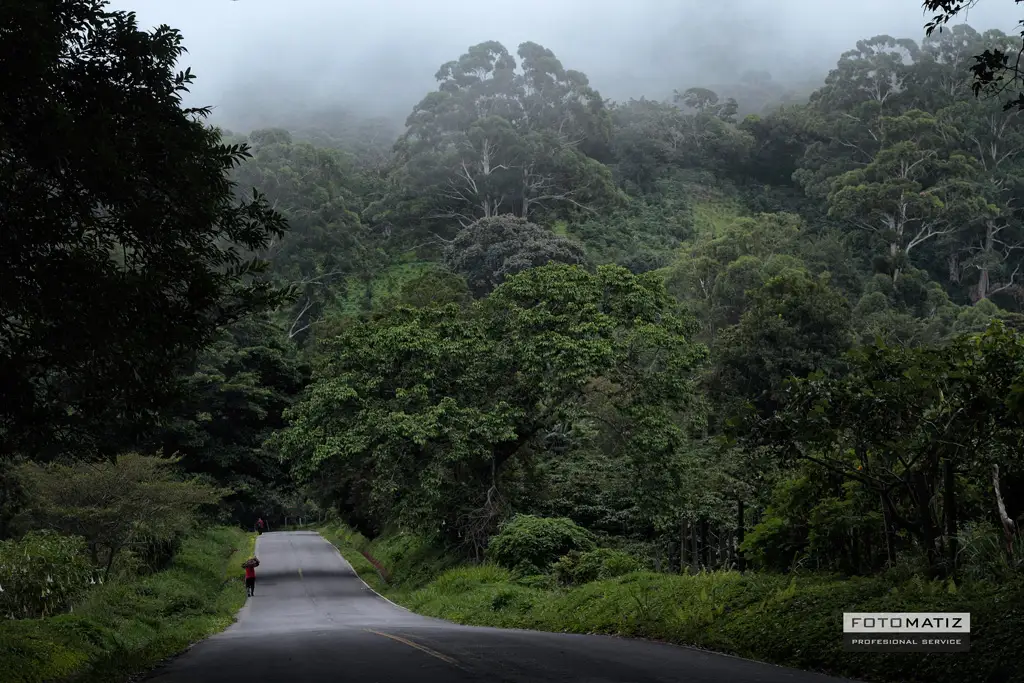 Avda Buenas Aires – Palo Alto – Boquete Avda Buenas Aires - Palo Alto - Boquete