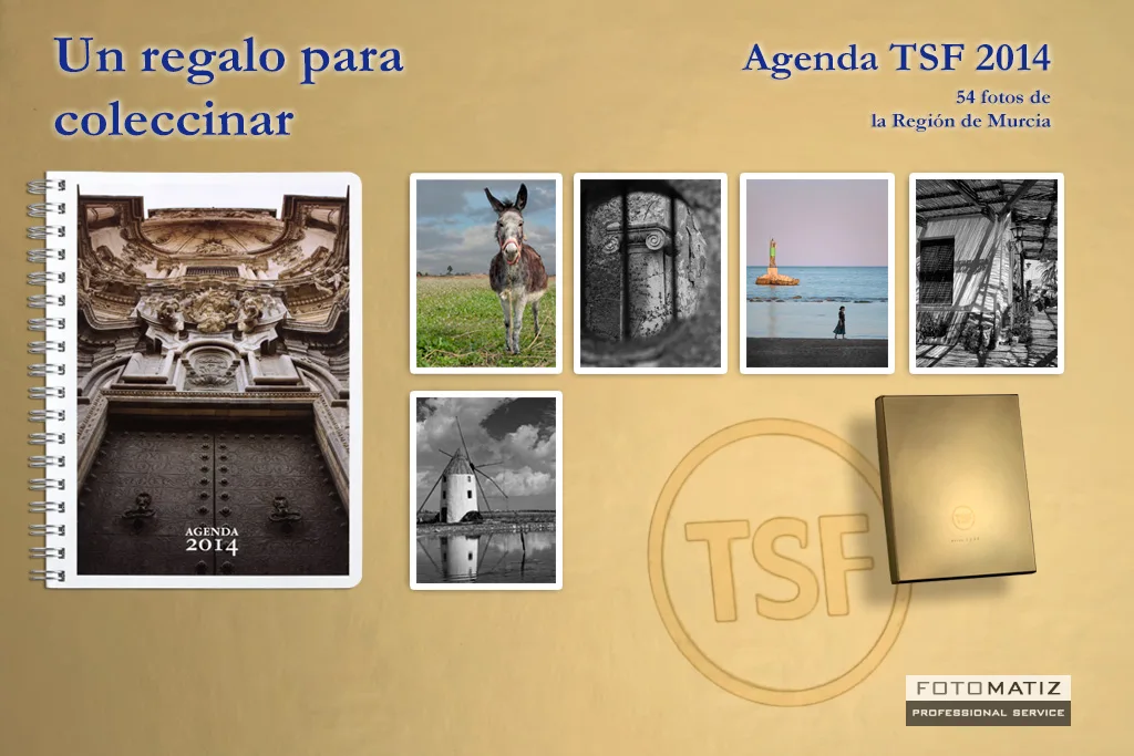 Agenda 2014 from TSF Agenda 2014 from TSF