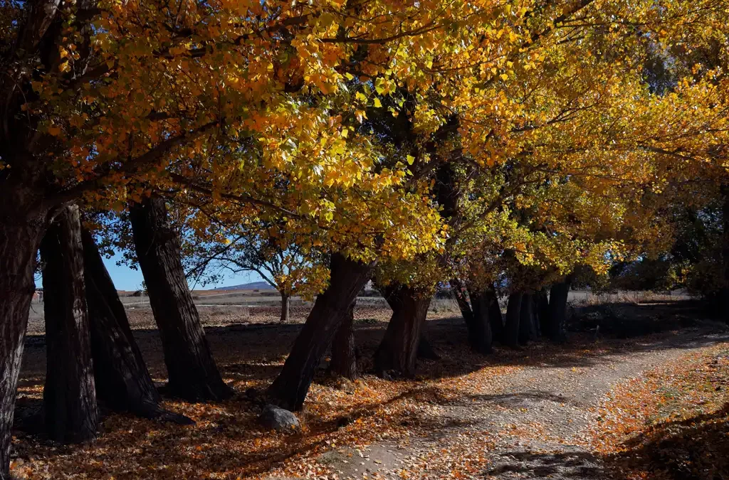 The Hidden Splendour of Autumn in Southern Spain