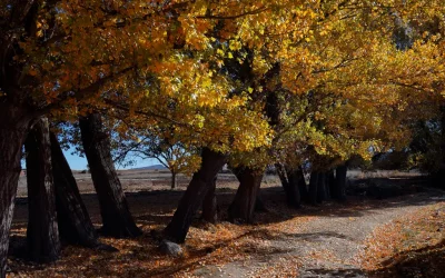The Hidden Splendour of Autumn in Southern Spain