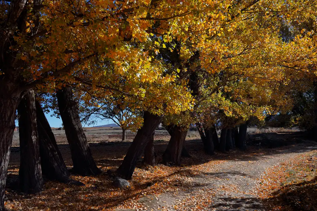 Autumn in Murcia- Spain