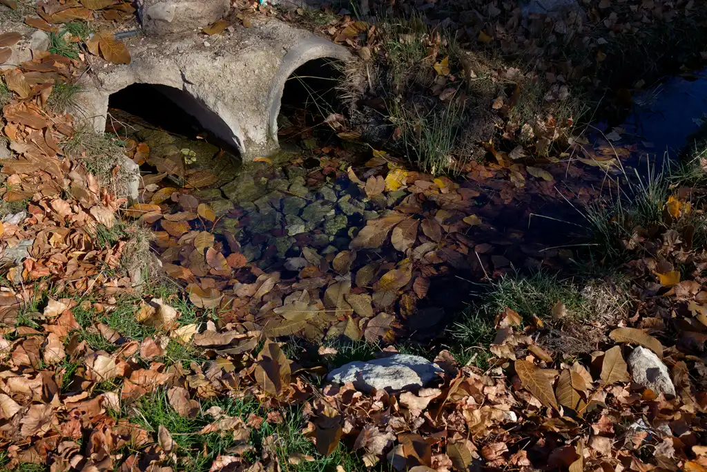 The place where the little river Alharabe rises