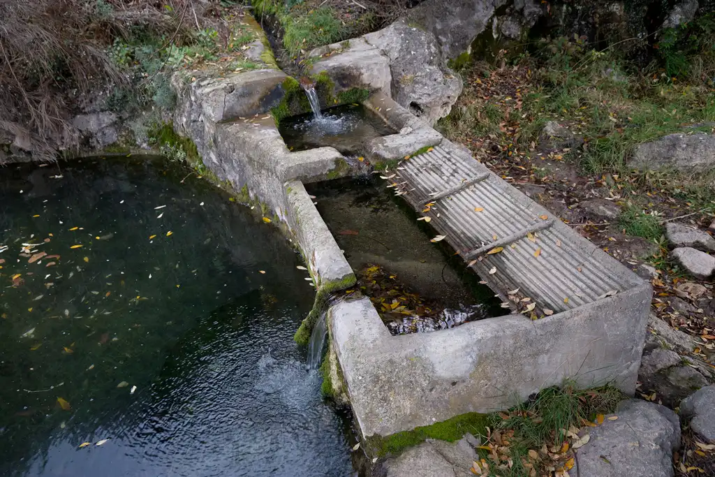Water spring in Bajil
