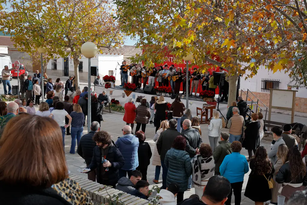 Performance by the Cuadrilla de la Purísimo Concepción