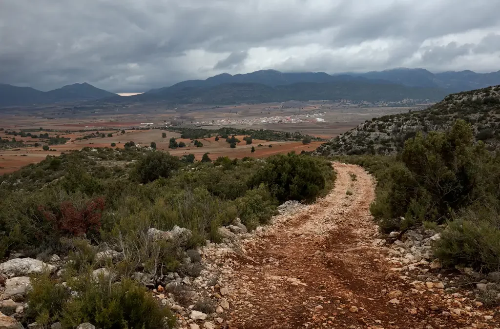 A hiking trail in a natural setting