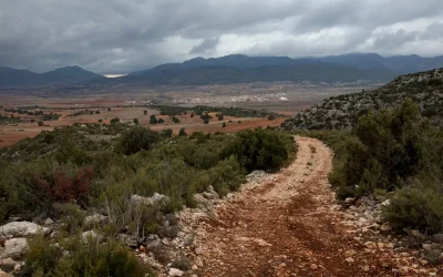 A hiking trail in a natural setting