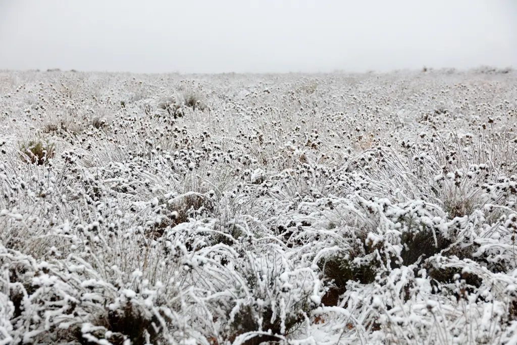 Winter landscape in Spain Winter landscape in Spain