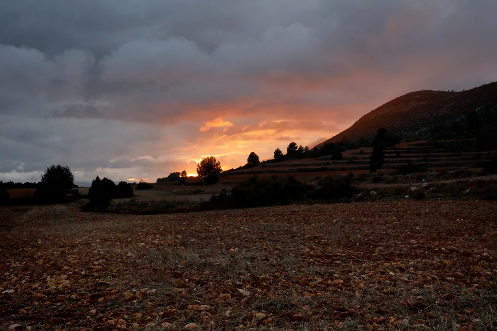 The last rays of sunshine The last rays of sunshine