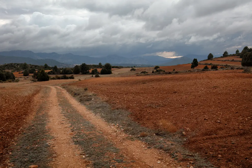 Hiking Trail in El Sabinar - Spain Hiking Trail in El Sabinar - Spain