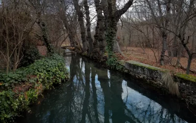 Winter Photography in Cañete