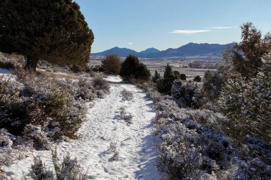 The snowy road during the descent