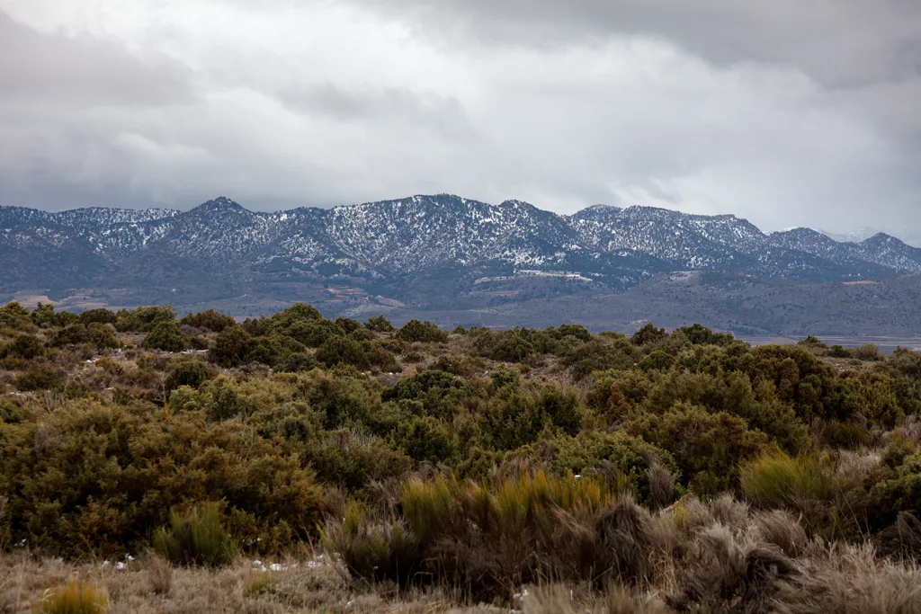 Murcia in almost Monochrome: Stunning Snowy Landscapes of El Sabinar and Bajil Murcia in almost Monochrome: Stunning Snowy Landscapes of El Sabinar and Bajil