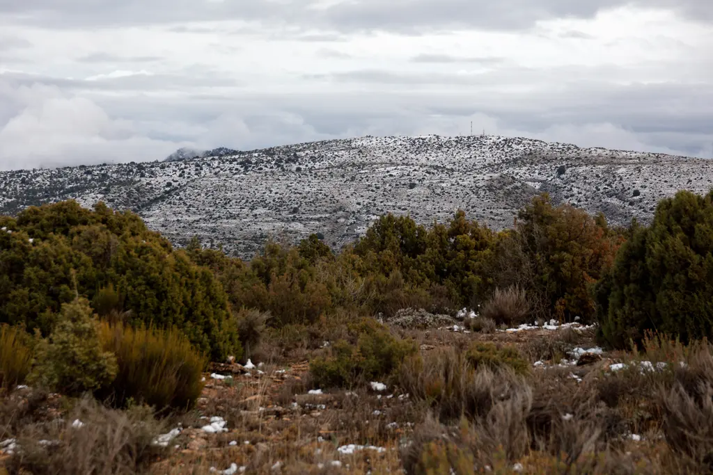 The Magic of the Northeast: Tracking Snow in the Heart of the Murcian Mountains The Magic of the Northeast: Tracking Snow in the Heart of the Murcian Mountains