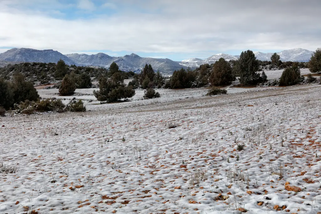 Chasing the White Gold: Landscape Photography in Snowy Murcia Chasing the White Gold: Landscape Photography in Snowy Murcia