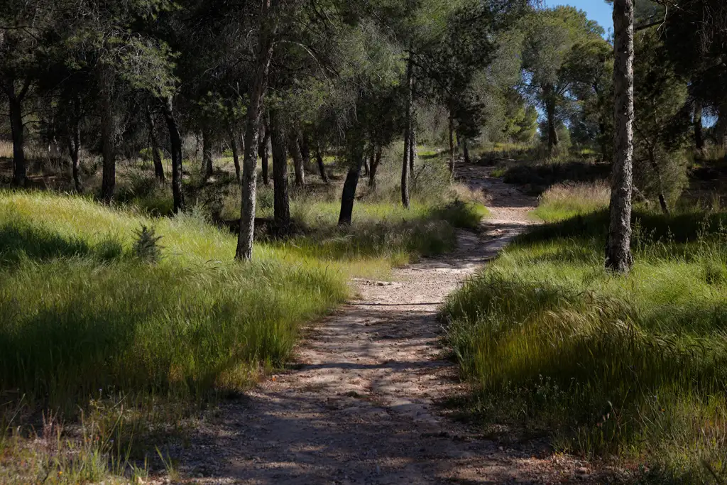 A Trail in El Valle natural park in Murcia