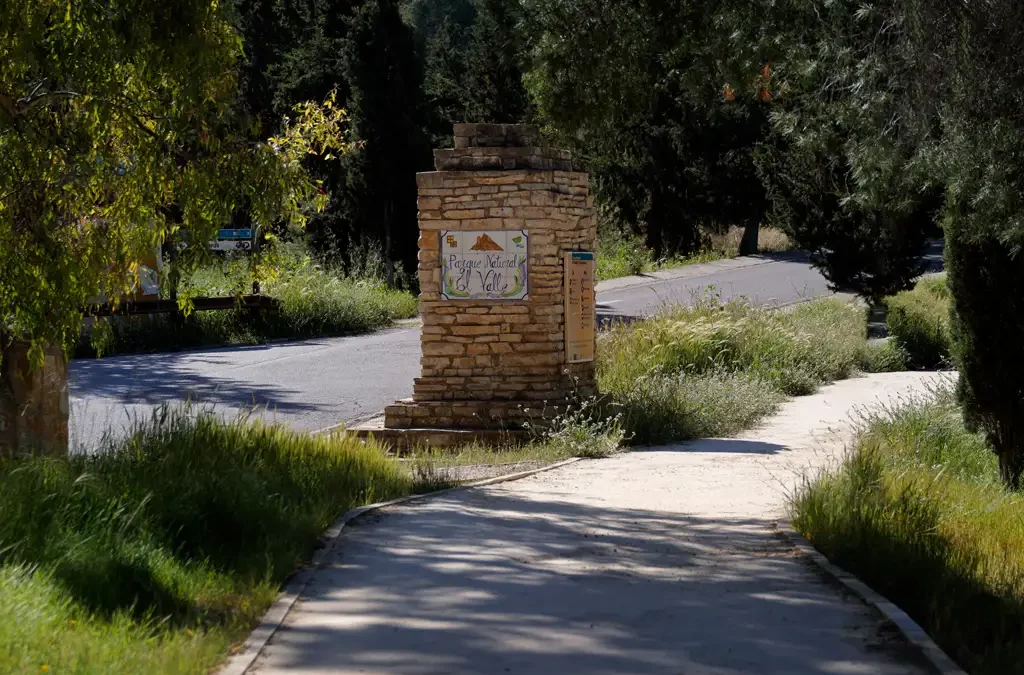 Why Murcia’s Spring is Under Threat