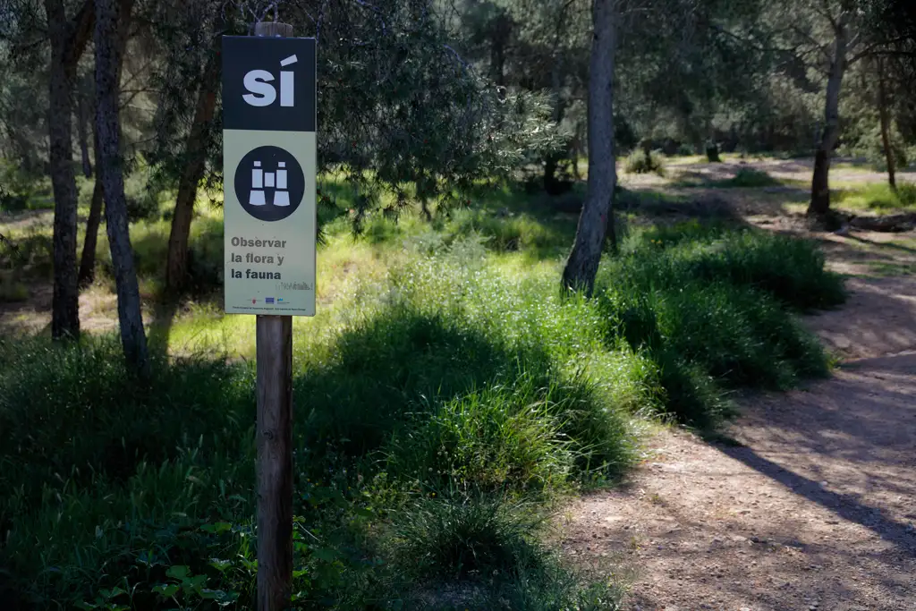Respect and always follow the park rules