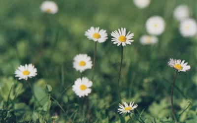 A Lifelong Journey Through Analogue Photography