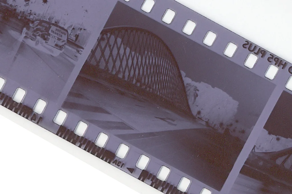 Fujifilm Analog Black-and-White Film