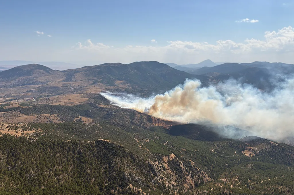 Aerial photograph of the forest fire - Courtesy of 112rmurcia.es Aerial photograph of the forest fire - Courtesy of 112rmurcia.es