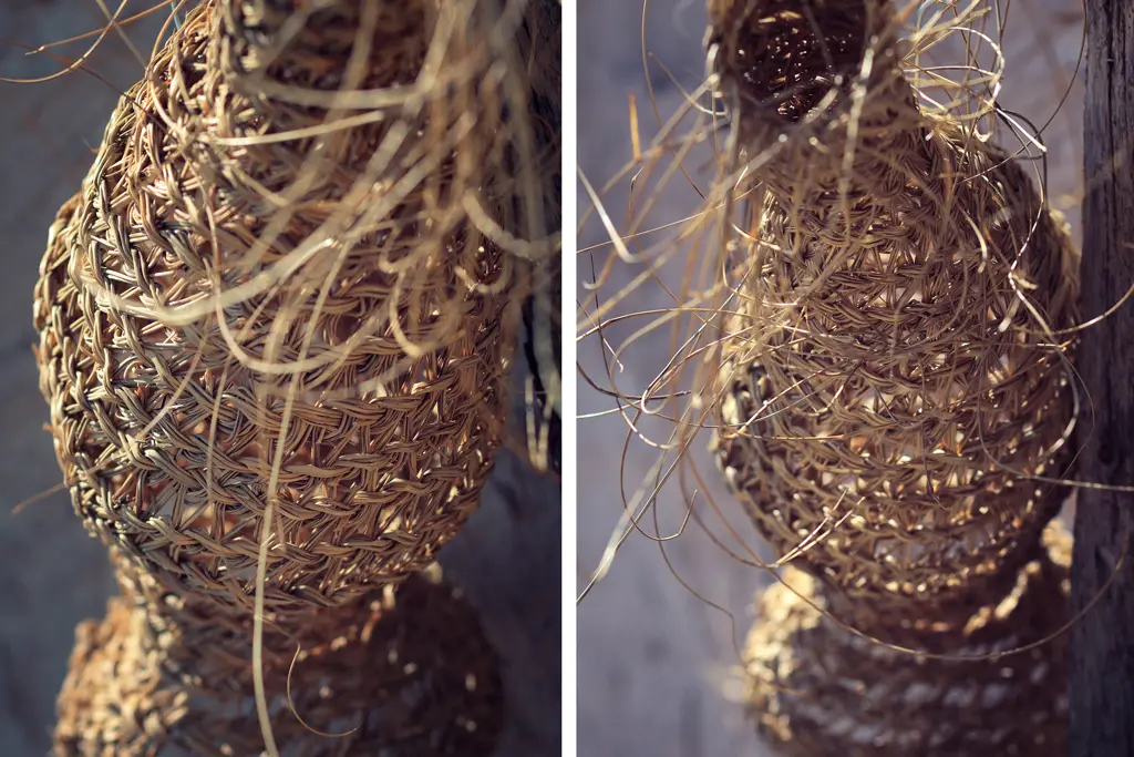 Traditional Wicker snail baskets Traditional Wicker snail baskets