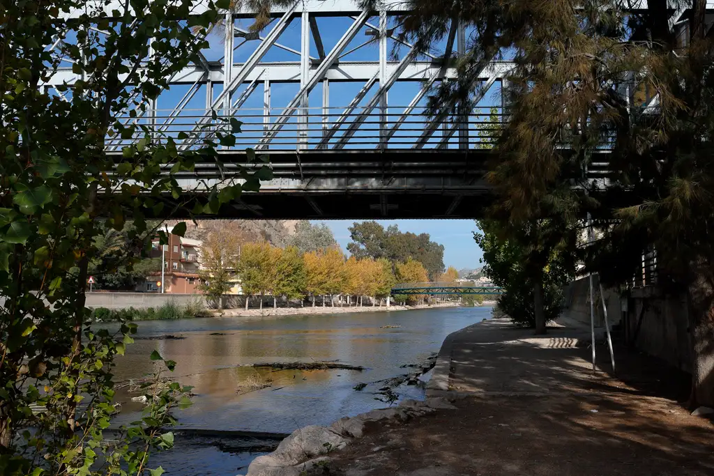 View from under the iron bridge over the Segura River